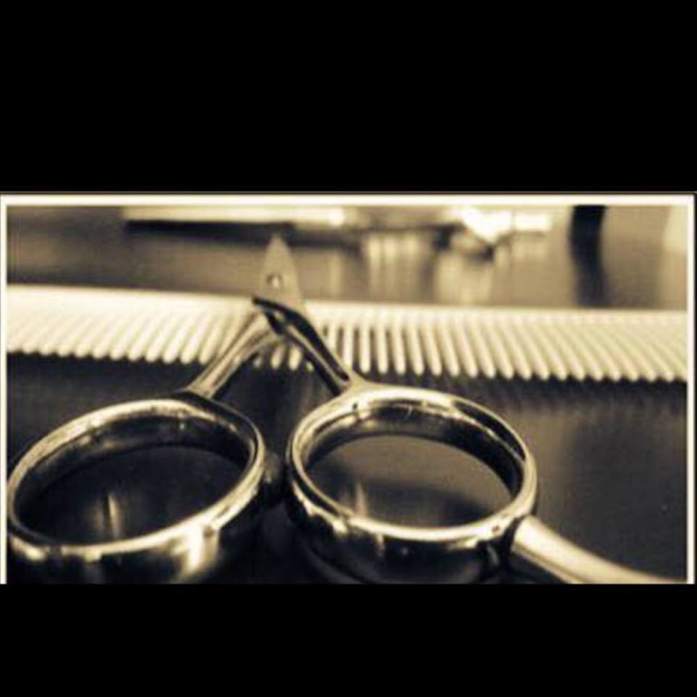 Meet your Posher, Allen